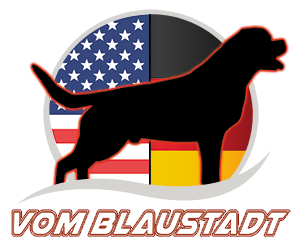 Vom Blaustadt Logo map